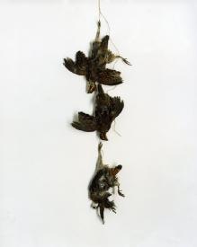 [Angela West Untitled archival pigment print[3].jpg]